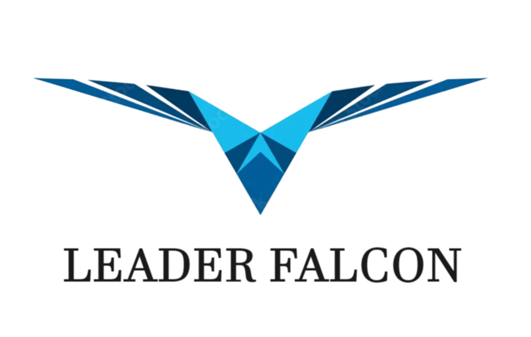 Leaderfalcon